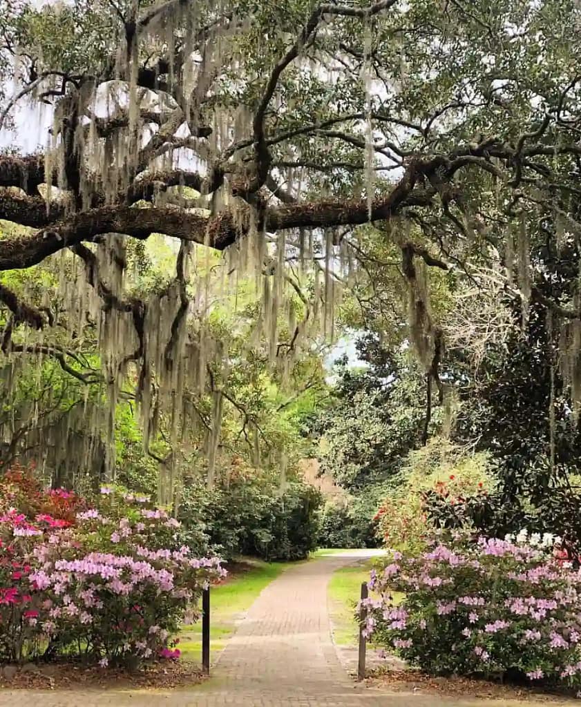Charles Towne Landing
