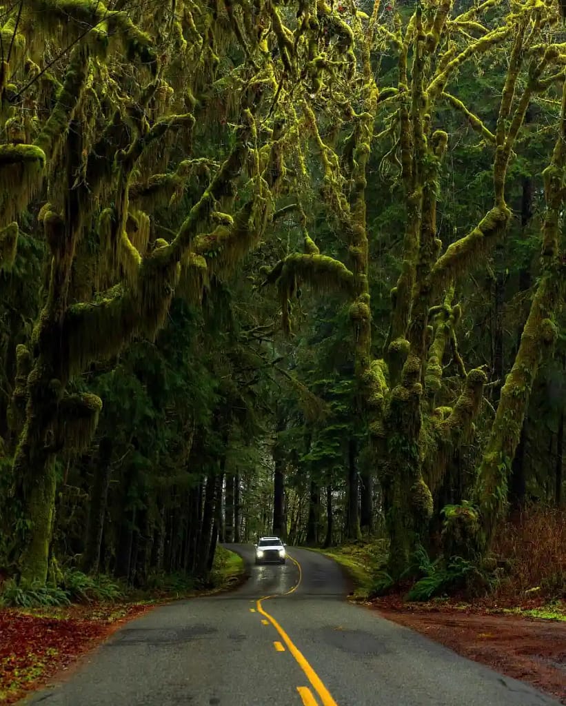 Olympic Peninsula Loop