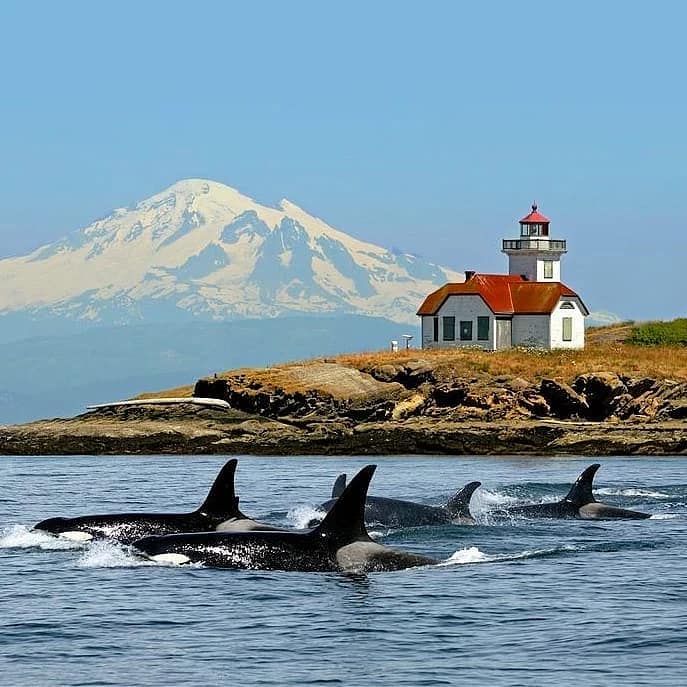 San Juan Islands Scenic Byway