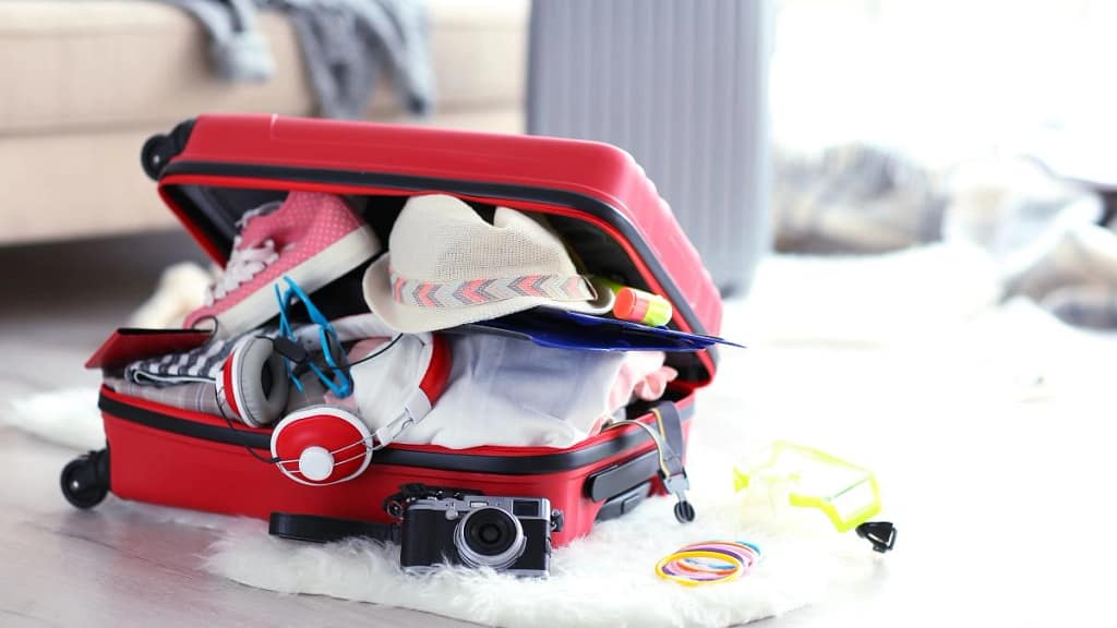 Luggage
