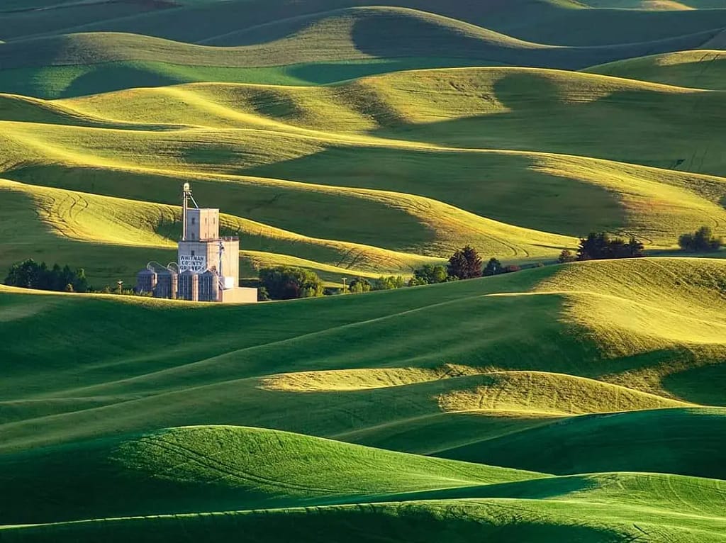 Palouse Scenic Byway
