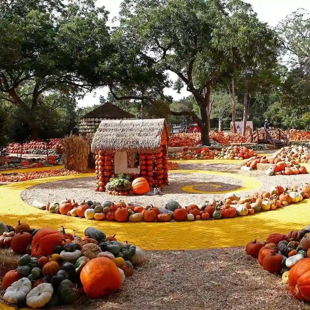 Autumn at the Dallas Arboretum