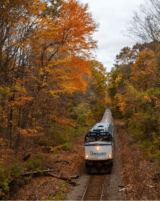 The Downeaster
