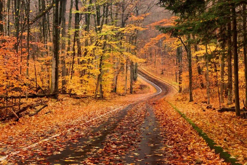 Scenic Byway Michigan