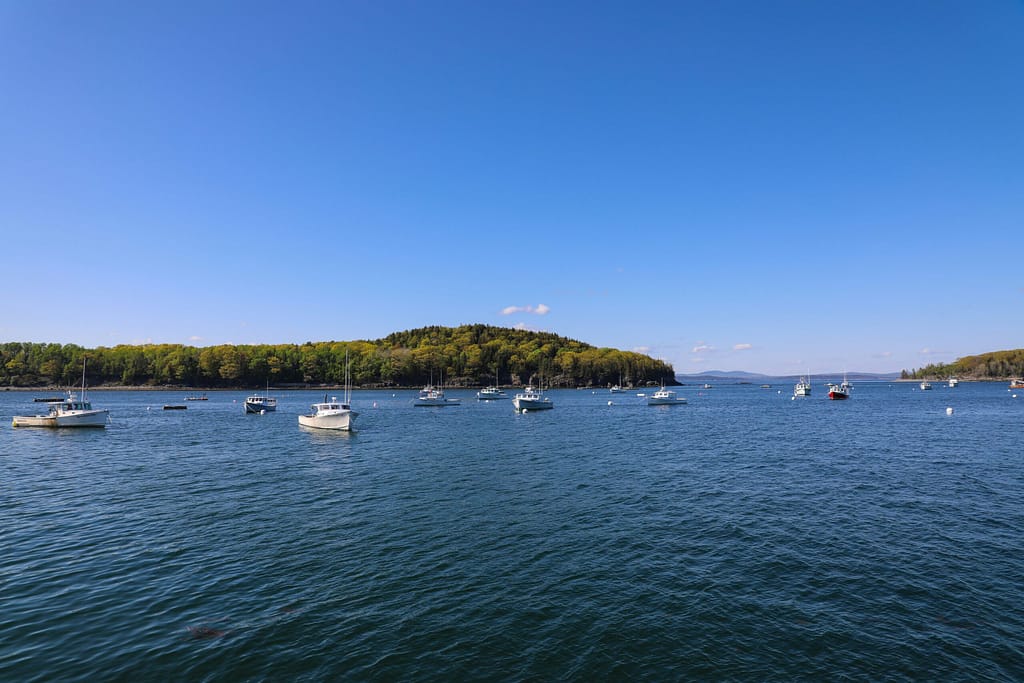 unusual things to do in Bar Harbor Maine