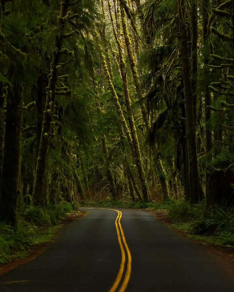 Olympic Peninsula Loop