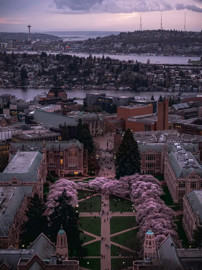 Seattle International Film Festival