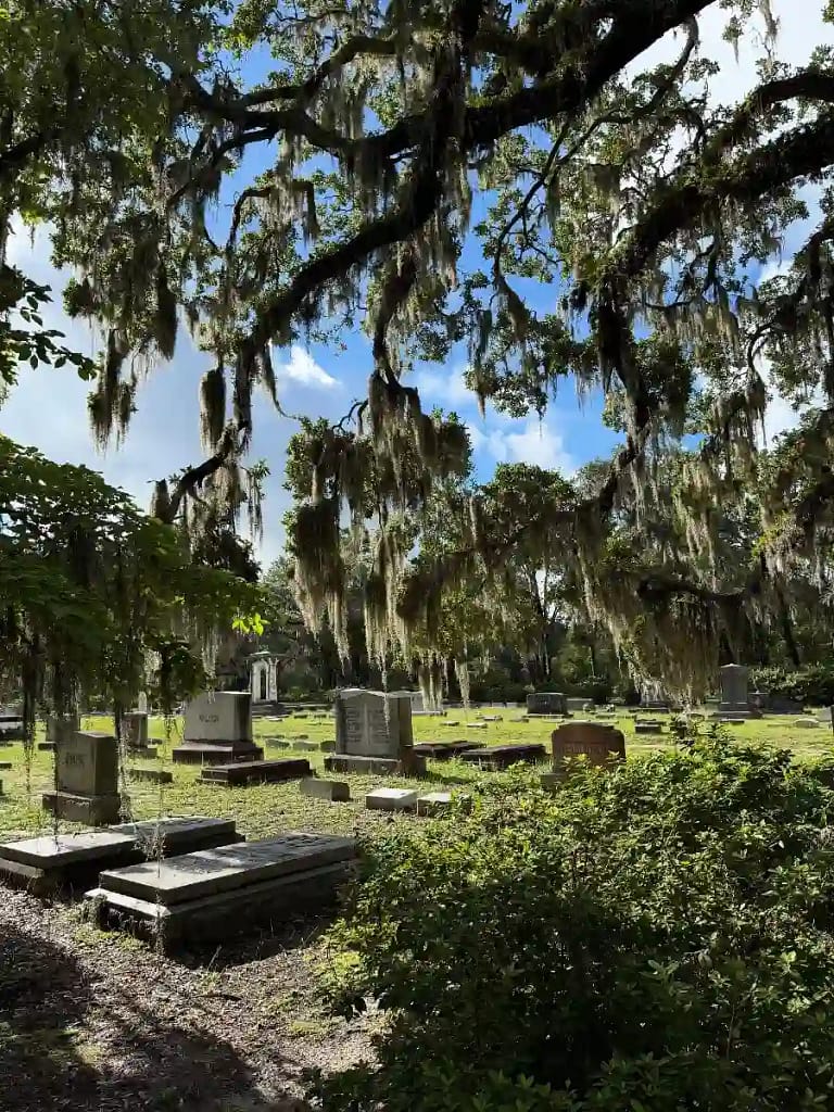 Bonaventure Cemetery, Georgia