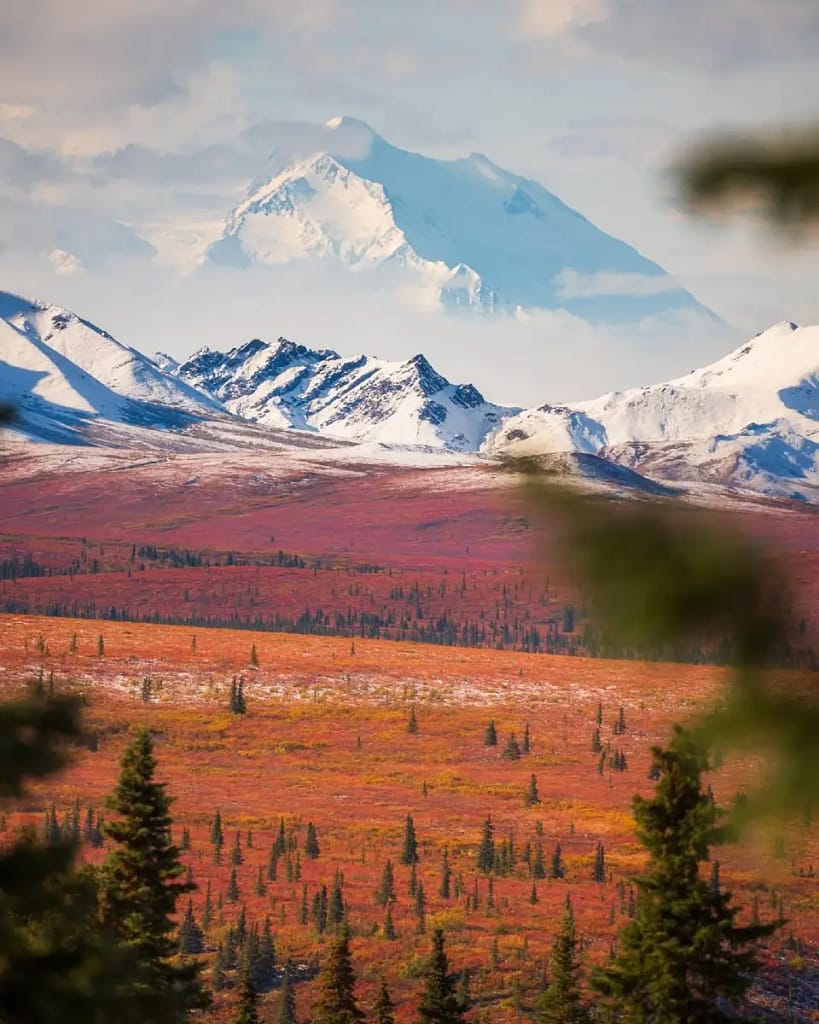 Denali National Park