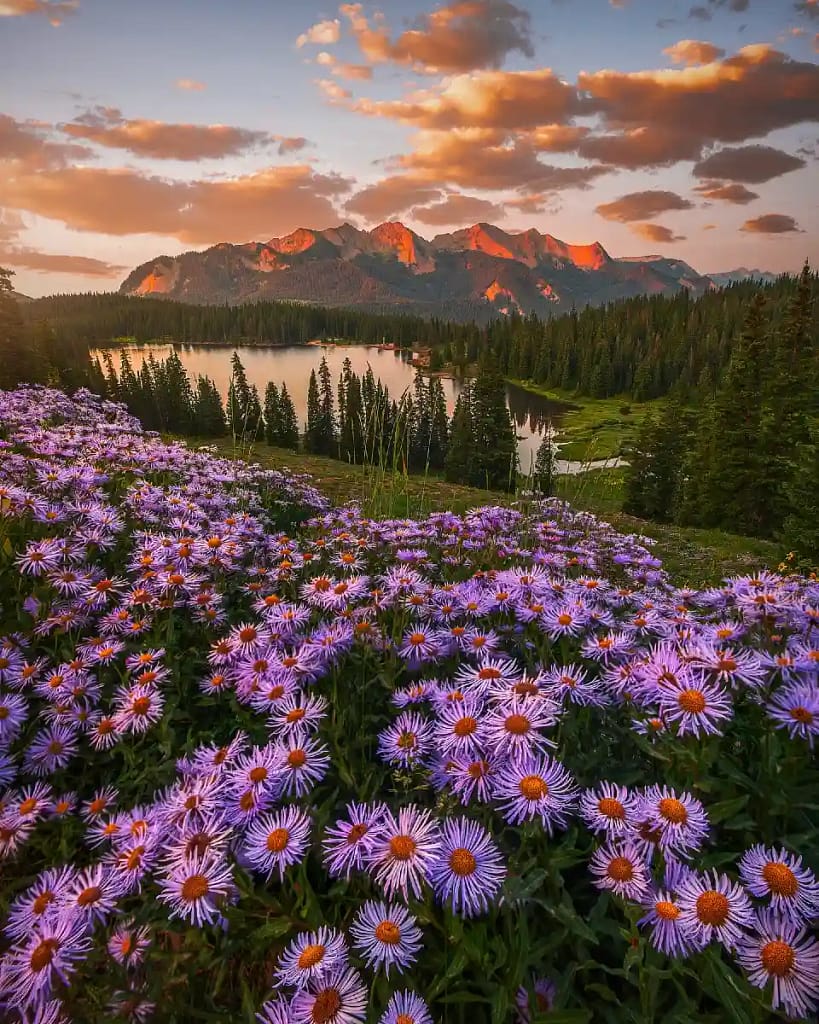 Crested Butte Colorado