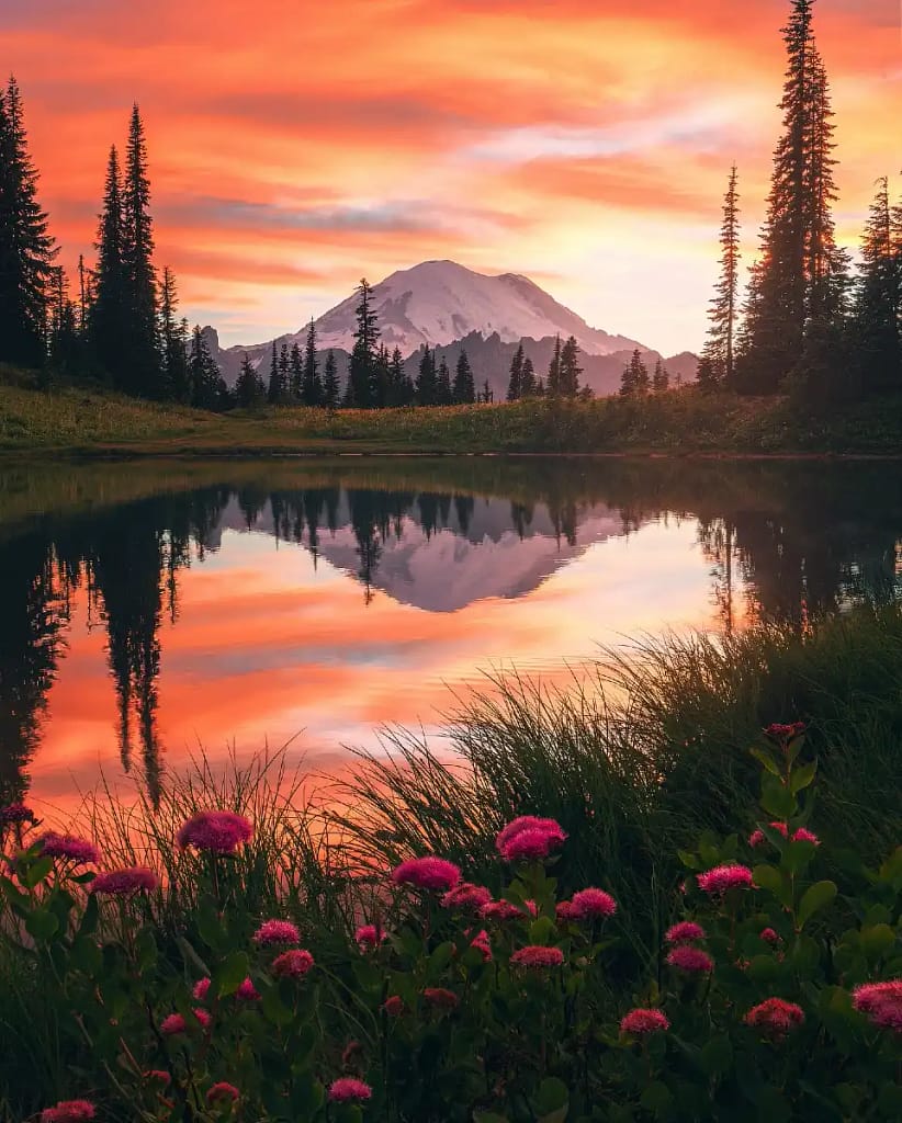 Mount Rainier National Park
